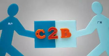 馬云預(yù)言 C2B模式引領(lǐng)未來電子商務(wù)新趨勢(shì)